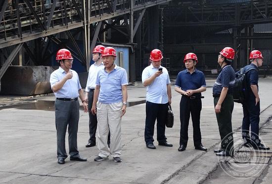 1501742255163988.jpg 1.JPG