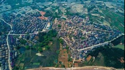 1512988952566994.jpg 3.jpg