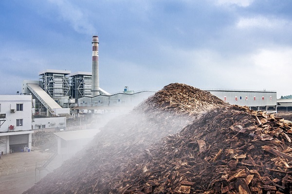 42.變廢為寶 生物質發電2.jpg