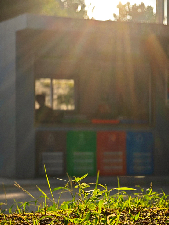 1699605275555546.png image.png