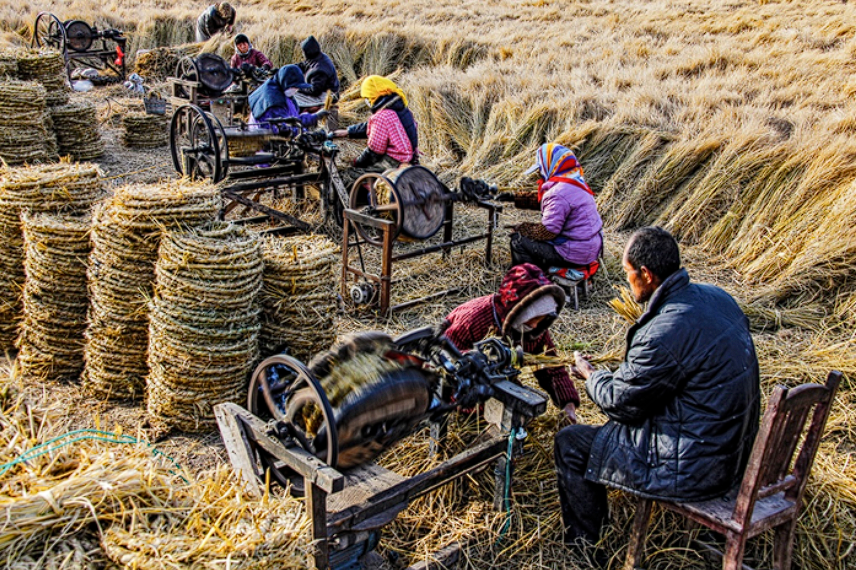 1699605377980733.png image.png