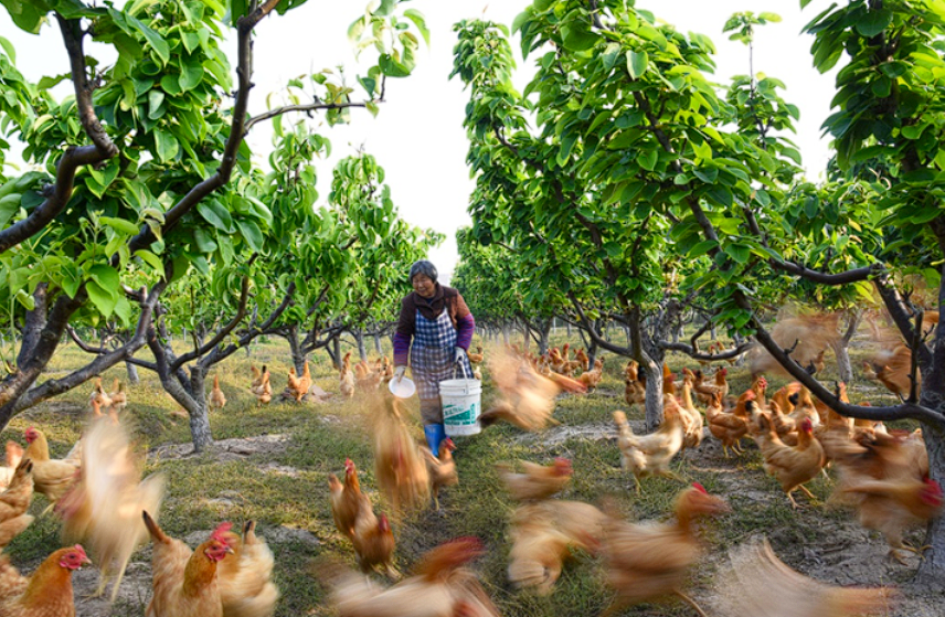 1699605386662012.png image.png