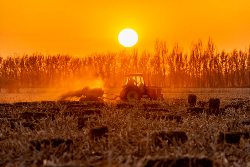 1699605572124010.png image.png