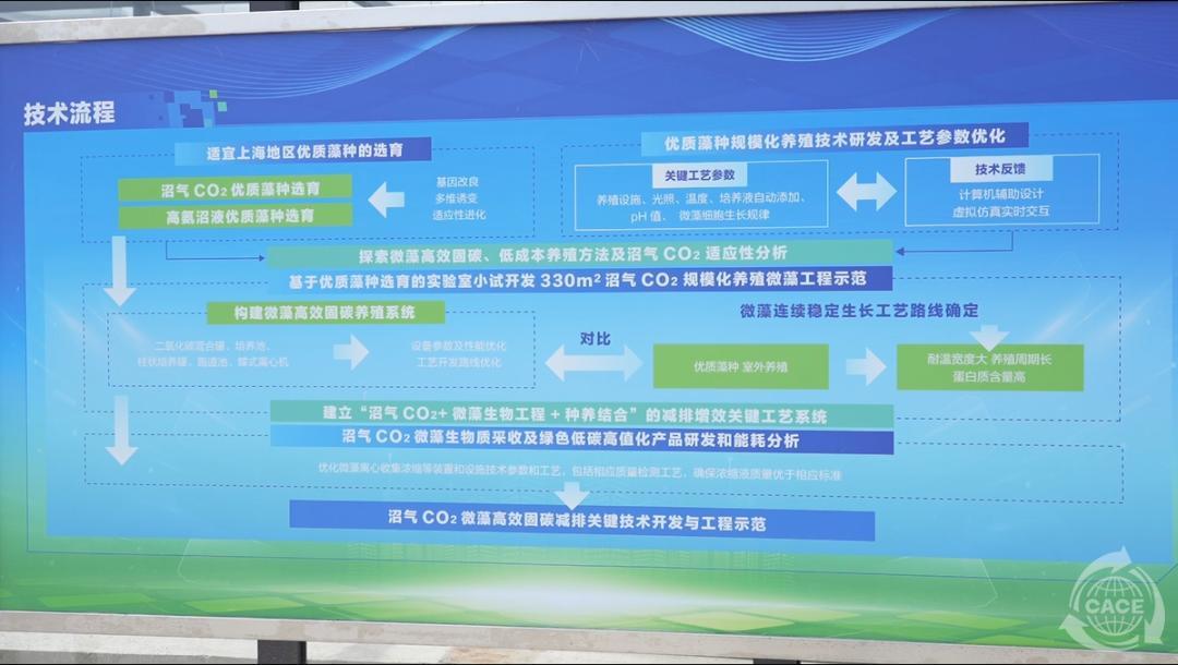 1721099391440174.jpg 395.jpg