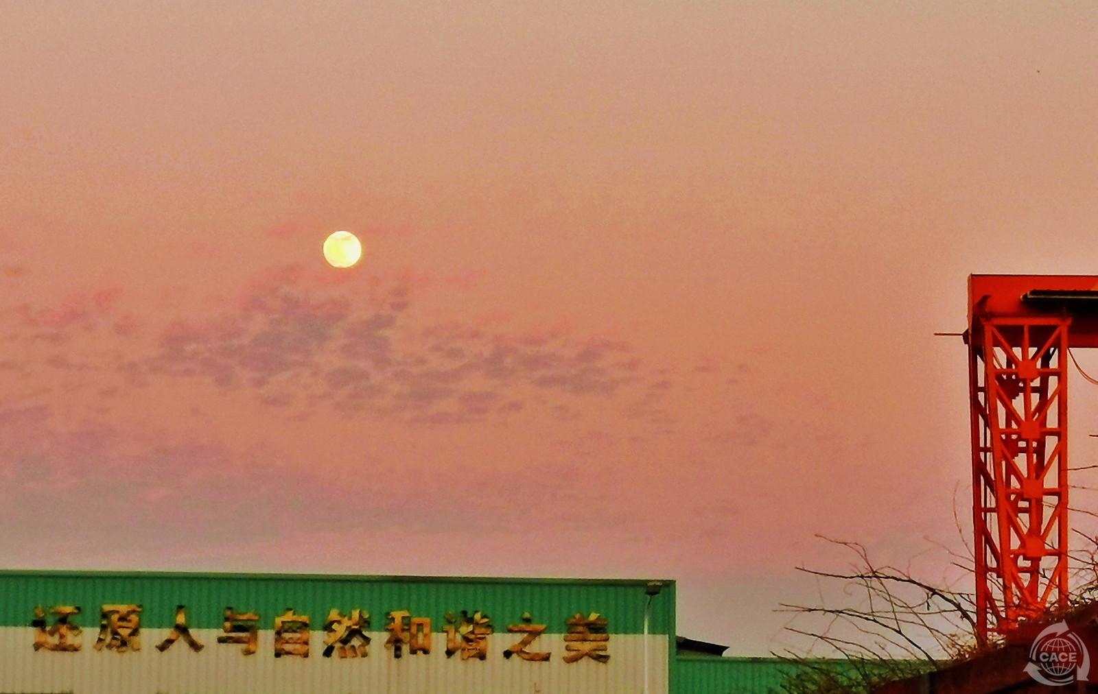 1723790964667762.jpg 1723790964667762.jpg