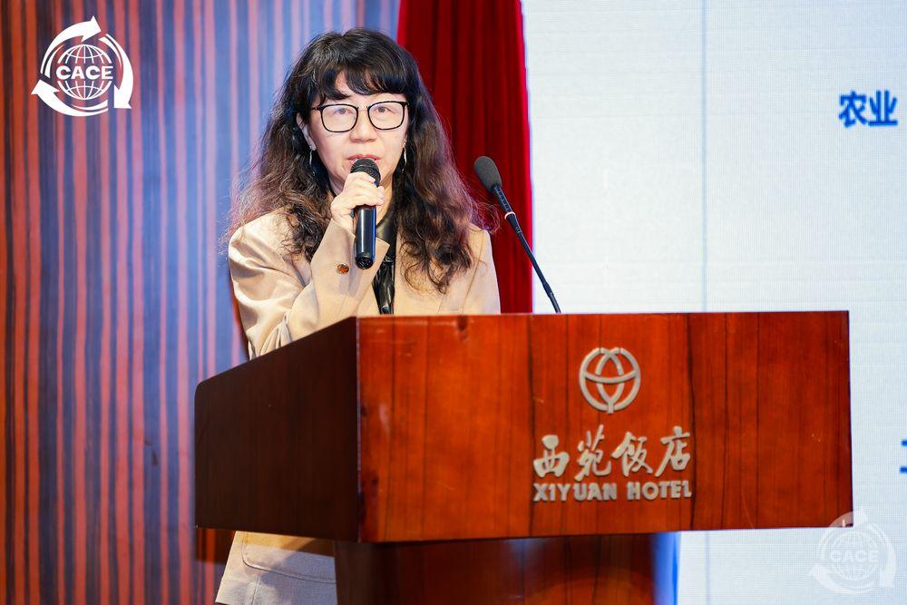 1730355488653512.jpg 徐世美_網(wǎng)站.jpg