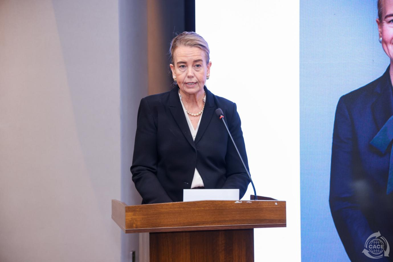 1733896221948183.png 圖片 3.png