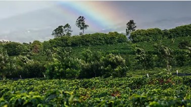 1750228265898724.jpg 圖片6.jpg