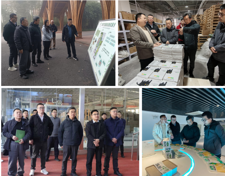 1769498642597085.png 11.png